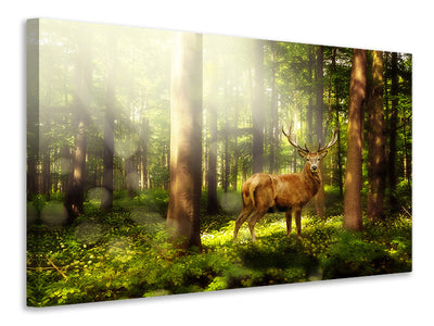 canvas-print-attention-deer