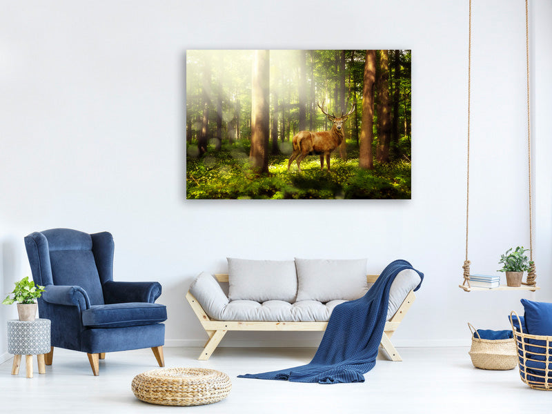 canvas-print-attention-deer