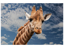 canvas-print-attention-giraffe