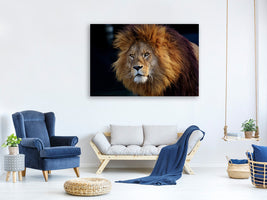 canvas-print-attention-lion