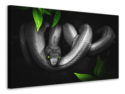 canvas-print-attention-snake