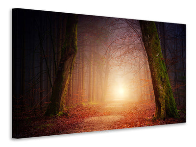 canvas-print-autumn-in-the-woods