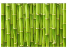 canvas-print-bamboo-wall