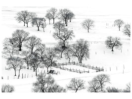 canvas-print-bashang-winter