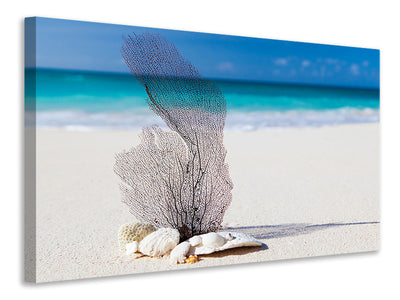 canvas-print-beach-art