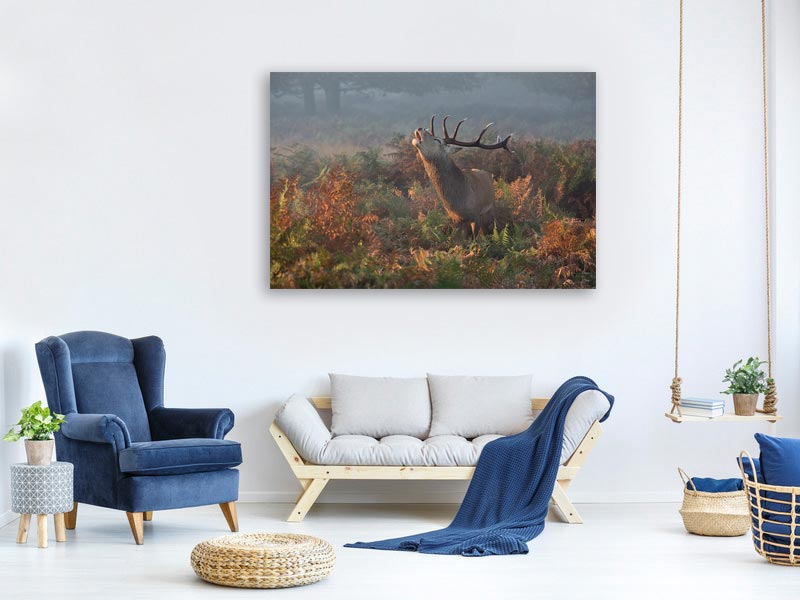 canvas-print-bellowing-stag-deer-x