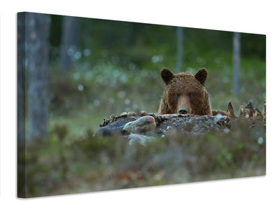 canvas-print-beware-brown-bear-x