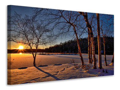 canvas-print-birches-in-the-sunset