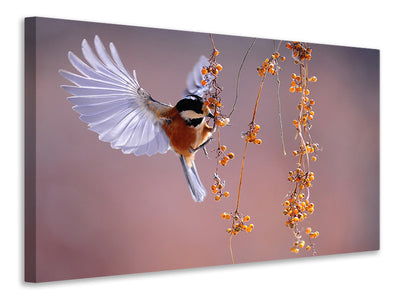 canvas-print-bird-in-action