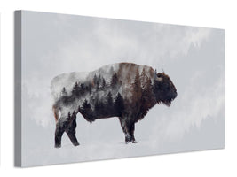 canvas-print-bison-double-exposure-x