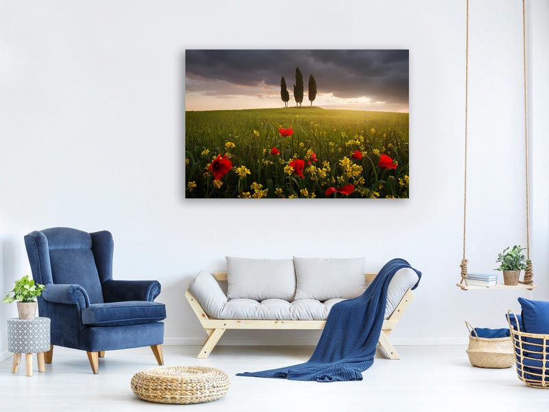 canvas-print-blooming-tuscany-x