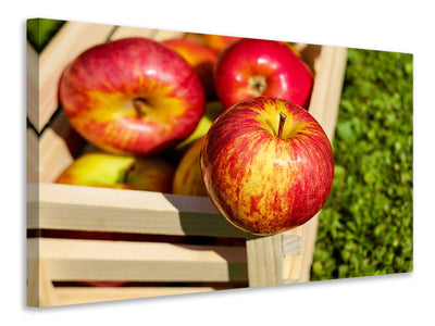 canvas-print-box-of-apples