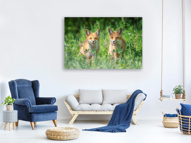 canvas-print-brothers-xat