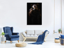 canvas-print-brown-bear-portrait-x