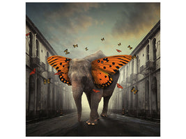 canvas-print-butterphant