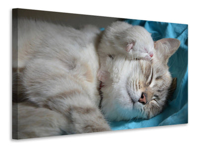 canvas-print-cats-mom-with-baby