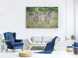 canvas-print-cheetah-cubs-x