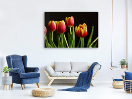 canvas-print-colorful-tulips