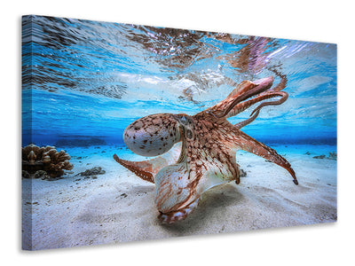 canvas-print-dancing-octopus
