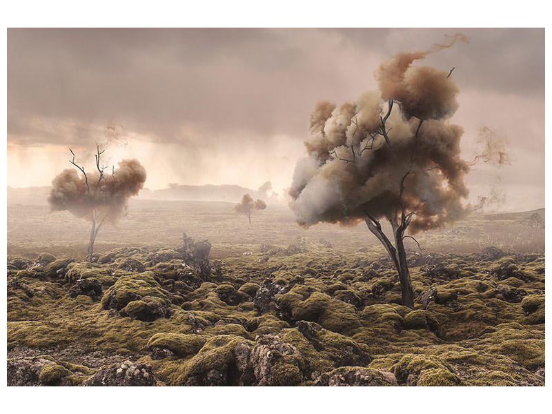 canvas-print-desolation