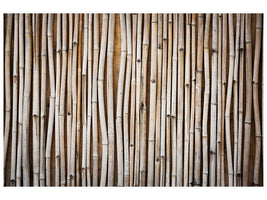canvas-print-dried-bamboos
