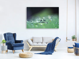 canvas-print-drops-of-water-in-xxl