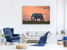 canvas-print-elephant-at-dusk-x