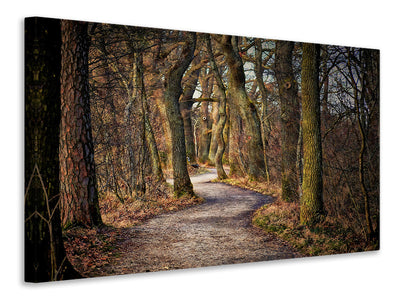 canvas-print-enchanted-forest