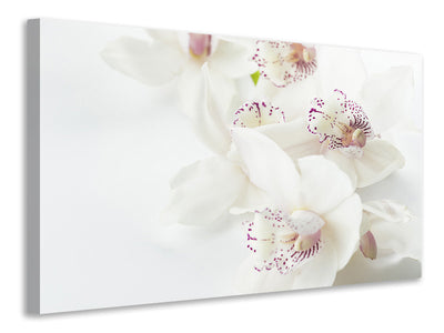 canvas-print-fantastic-orchids