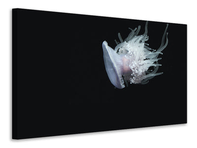 canvas-print-fascinating-jellyfish-xl
