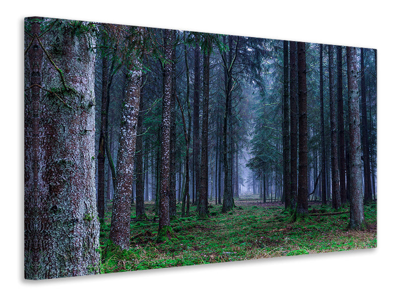 canvas-print-fir-trees-forest