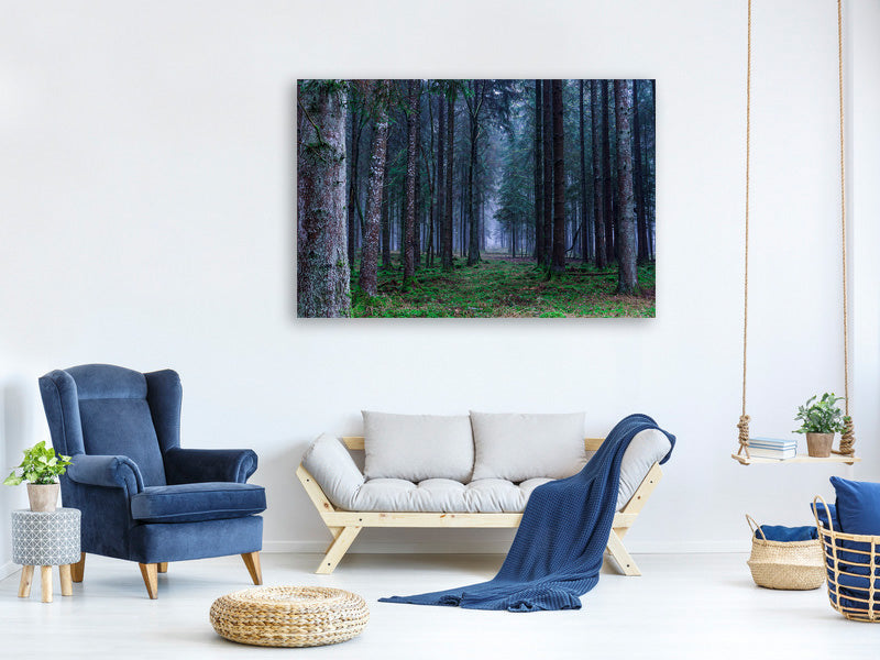canvas-print-fir-trees-forest