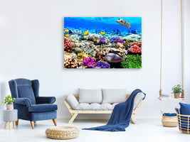 canvas-print-fish-aquarium