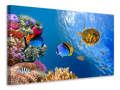 canvas-print-fish-in-the-water
