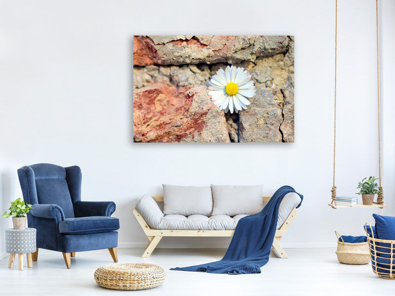canvas-print-flower-in-the-wall