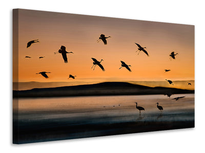 canvas-print-fly-in-at-sunset