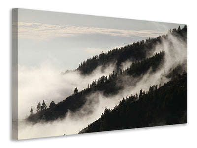 canvas-print-fog-in-the-woods