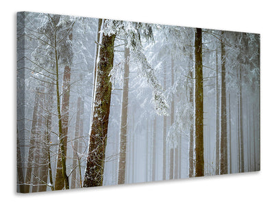 canvas-print-forest-in-winter