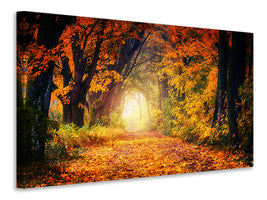 canvas-print-forest-walk