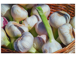 canvas-print-fresh-garlic