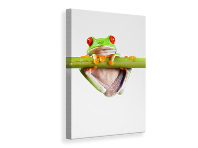 canvas-print-frog-acrobatics
