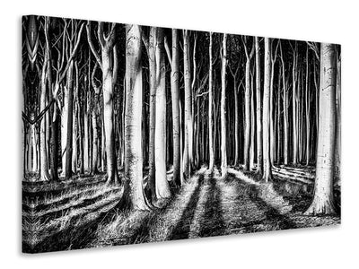 canvas-print-ghost-forest