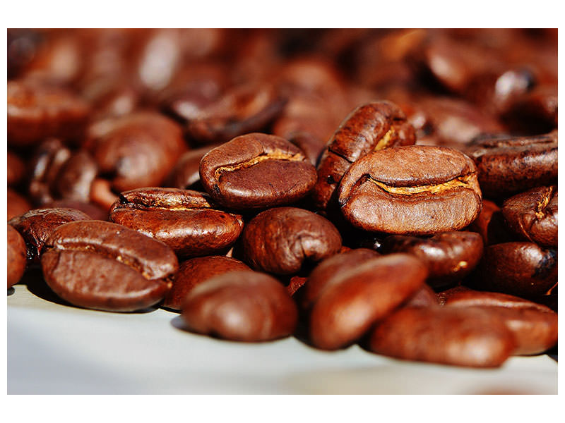 canvas-print-giant-coffee-beans