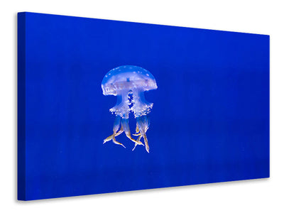 canvas-print-glowing-jellyfish