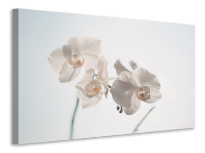 canvas-print-graceful-orchids