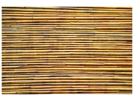 canvas-print-horizontal-bamboo-wall