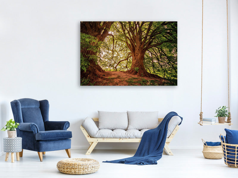 canvas-print-in-the-dense-forest