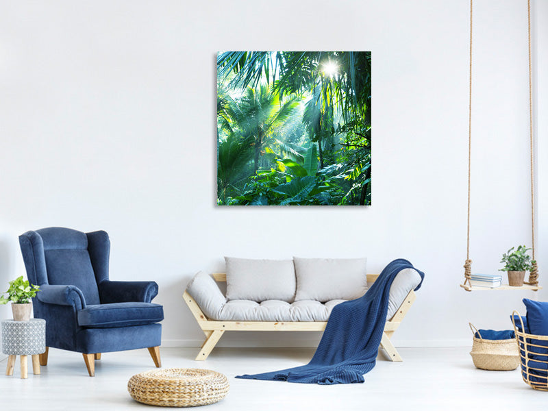 canvas-print-in-tropical-forest