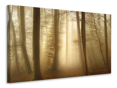 canvas-print-into-the-trees