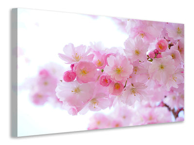 canvas-print-japanese-cherry-blossom-xl